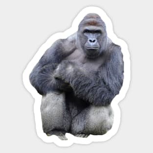 Harambe Sticker